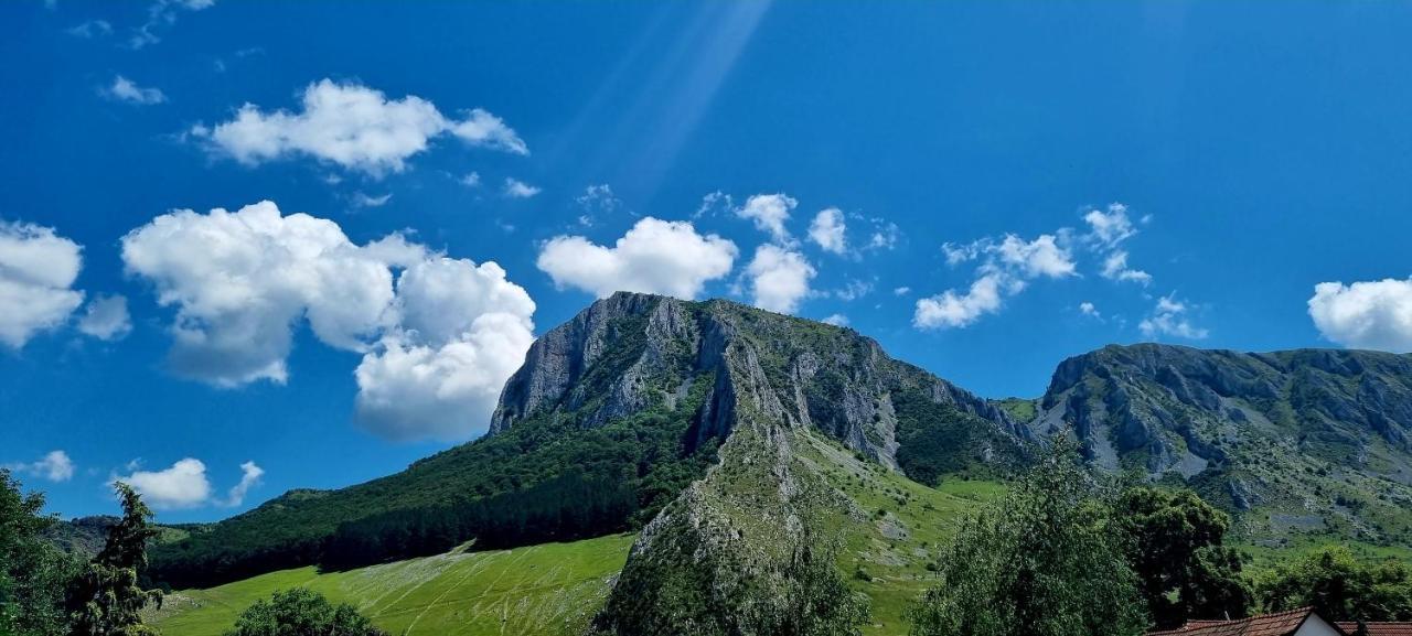 Hamor Panzio Rimetea Exteriér fotografie
